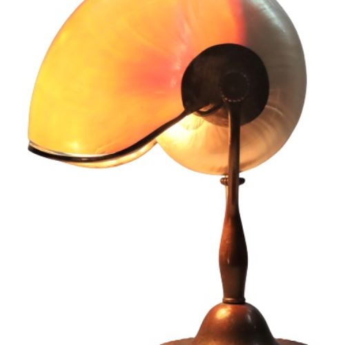 Tiffany Studios Bronze & Nautilus Shell Lamp